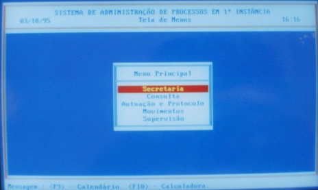 sap1.png