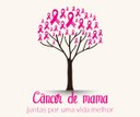 outubrorosa2015.jpg