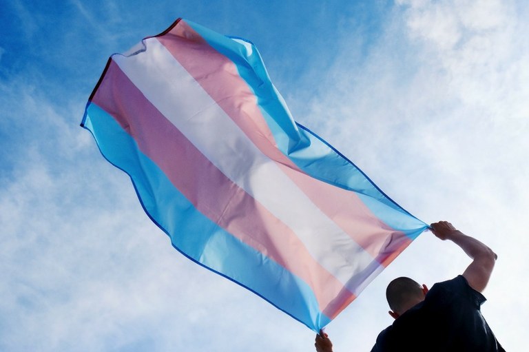 Bandeira Transexual.jpg