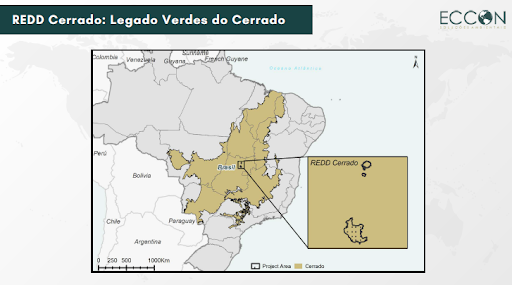 REDD Cerrado.png