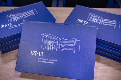 Imagens Livro TRT 2024-2.jpg