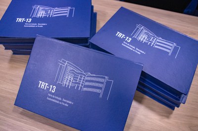 Imagens Livro TRT 2024-3.jpg